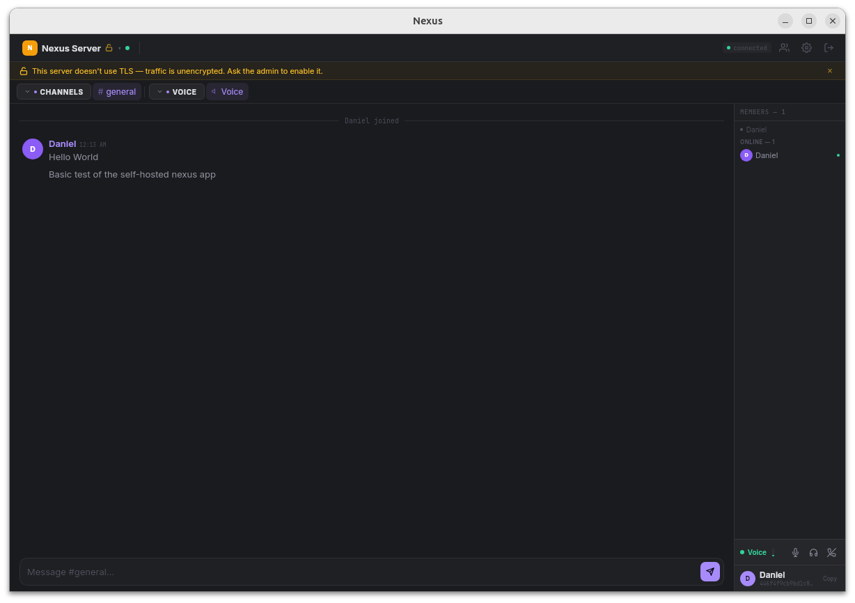 nexus chat application showing channels, messaging, and voice features